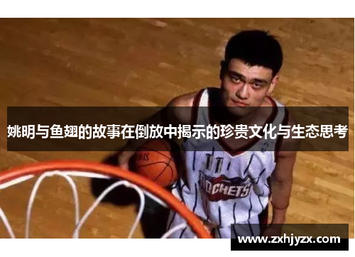 姚明与鱼翅的故事在倒放中揭示的珍贵文化与生态思考