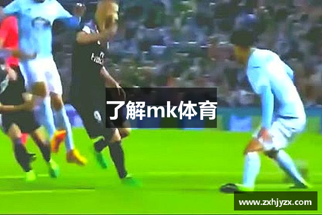 了解mk体育